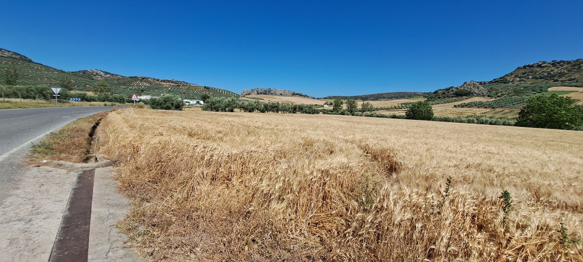 Se vende Terreno Urbano  en Costa Del Sol, Málaga, España