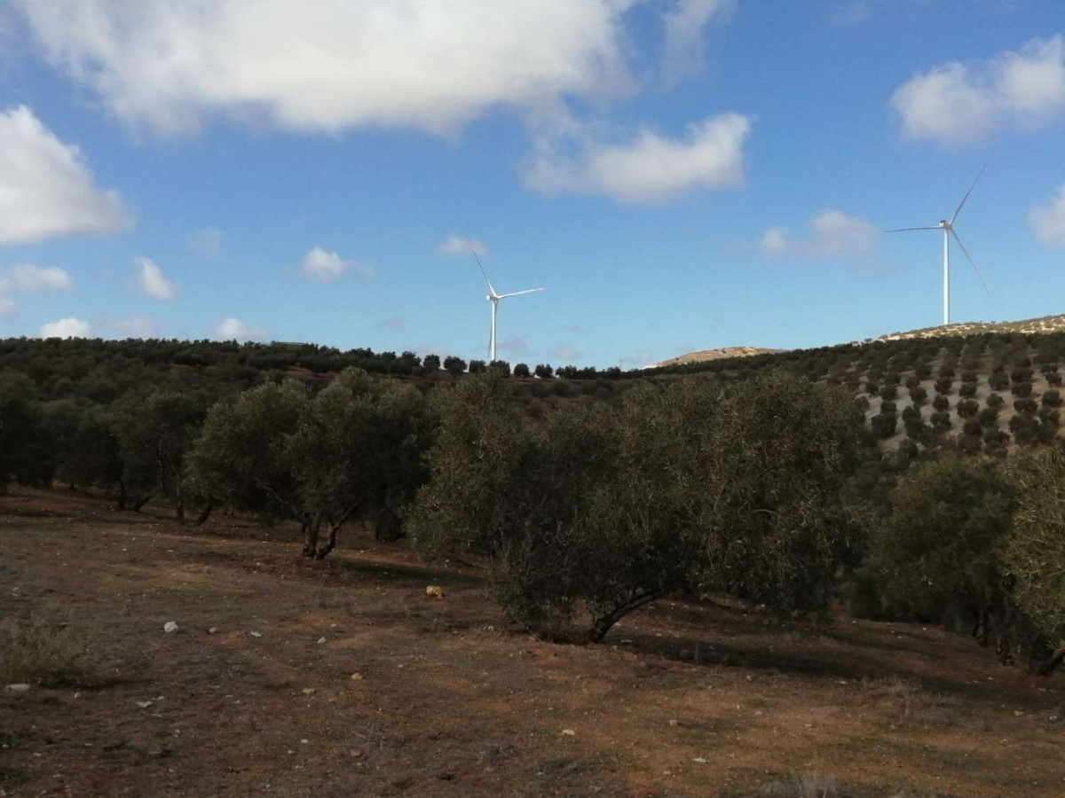 1 Bed Plots for sale in Sierra De Yeguas Málaga, Málaga, Spain