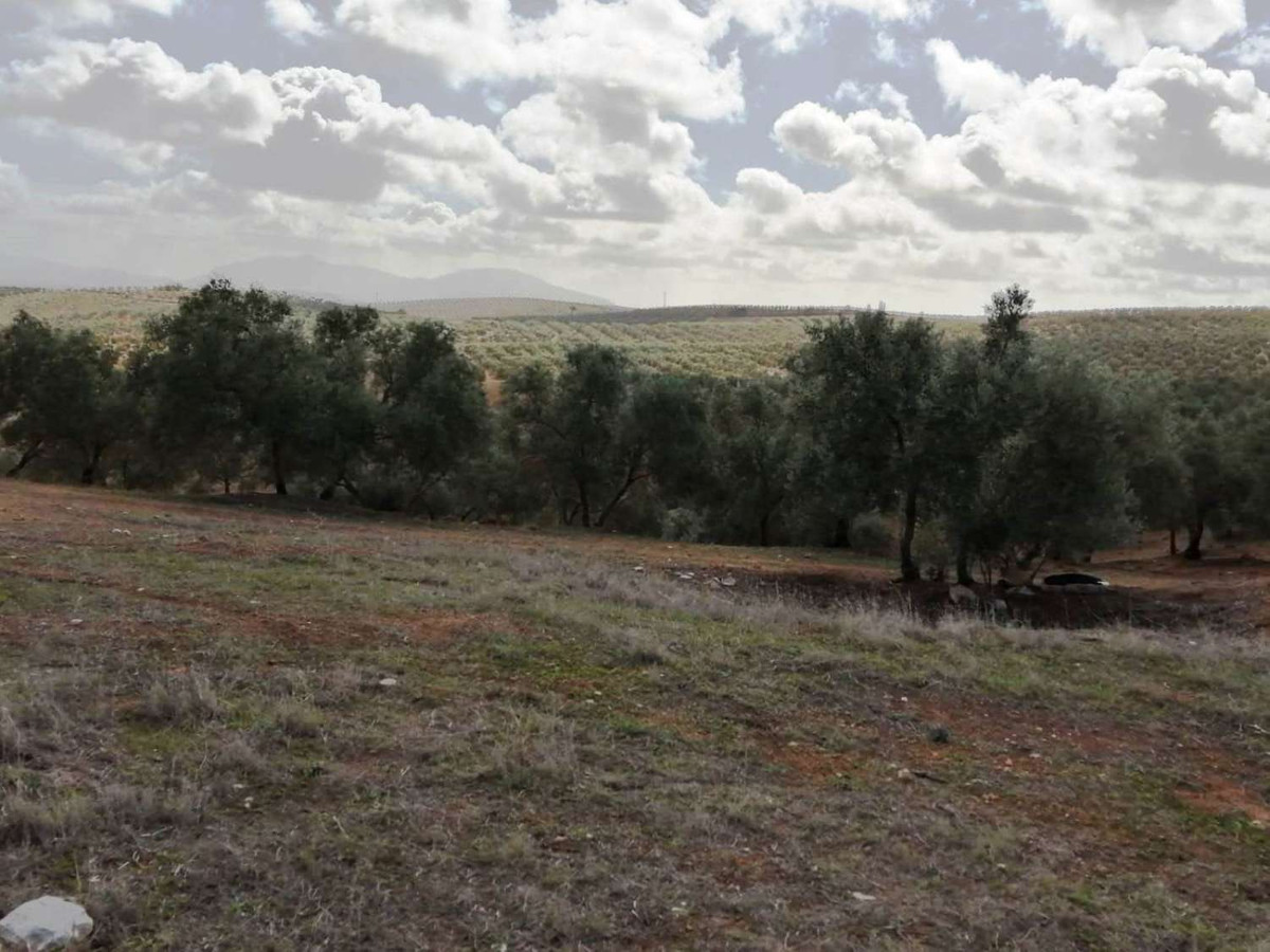 1 Bed Plots for sale in Sierra De Yeguas Málaga, Málaga, Spain