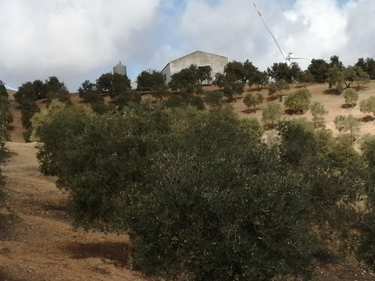 1 Bed Plots for sale in Sierra De Yeguas Málaga, Málaga, Spain