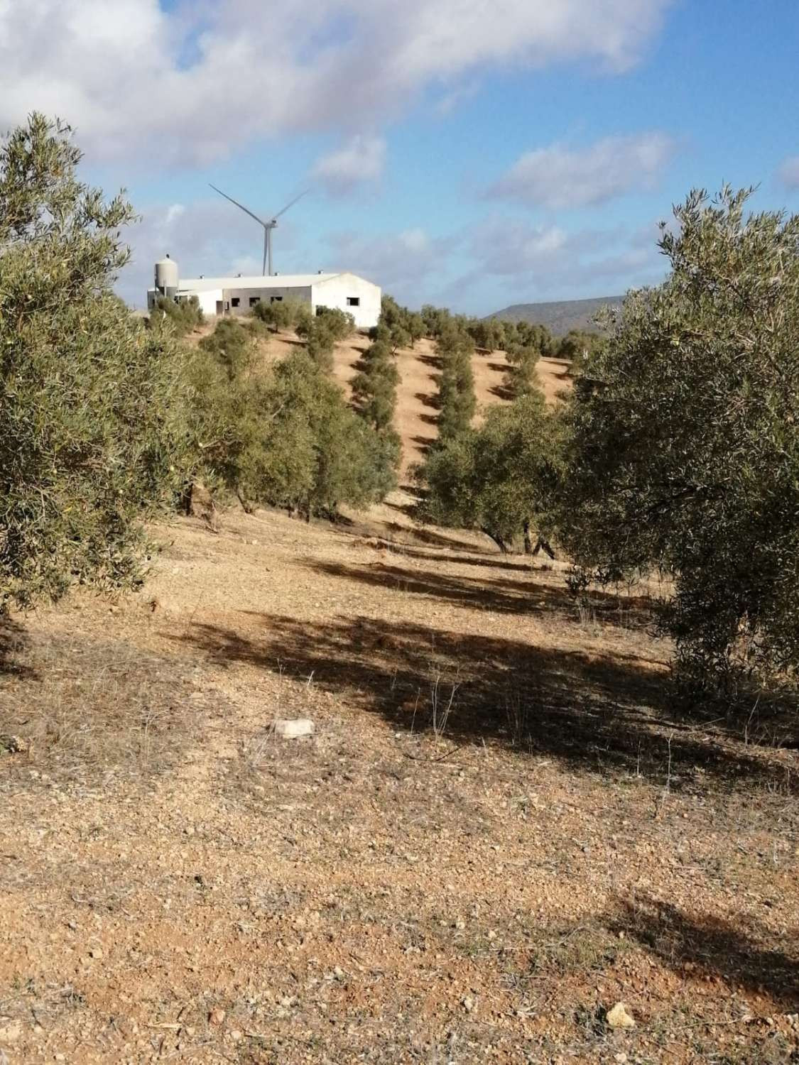 1 Bed Plots for sale in Sierra De Yeguas Málaga, Málaga, Spain