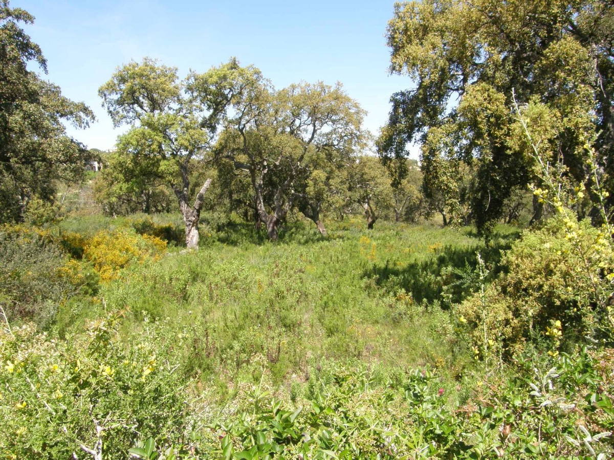 Se vende Terreno Urbano  en Costa Del Sol, Cadiz, España