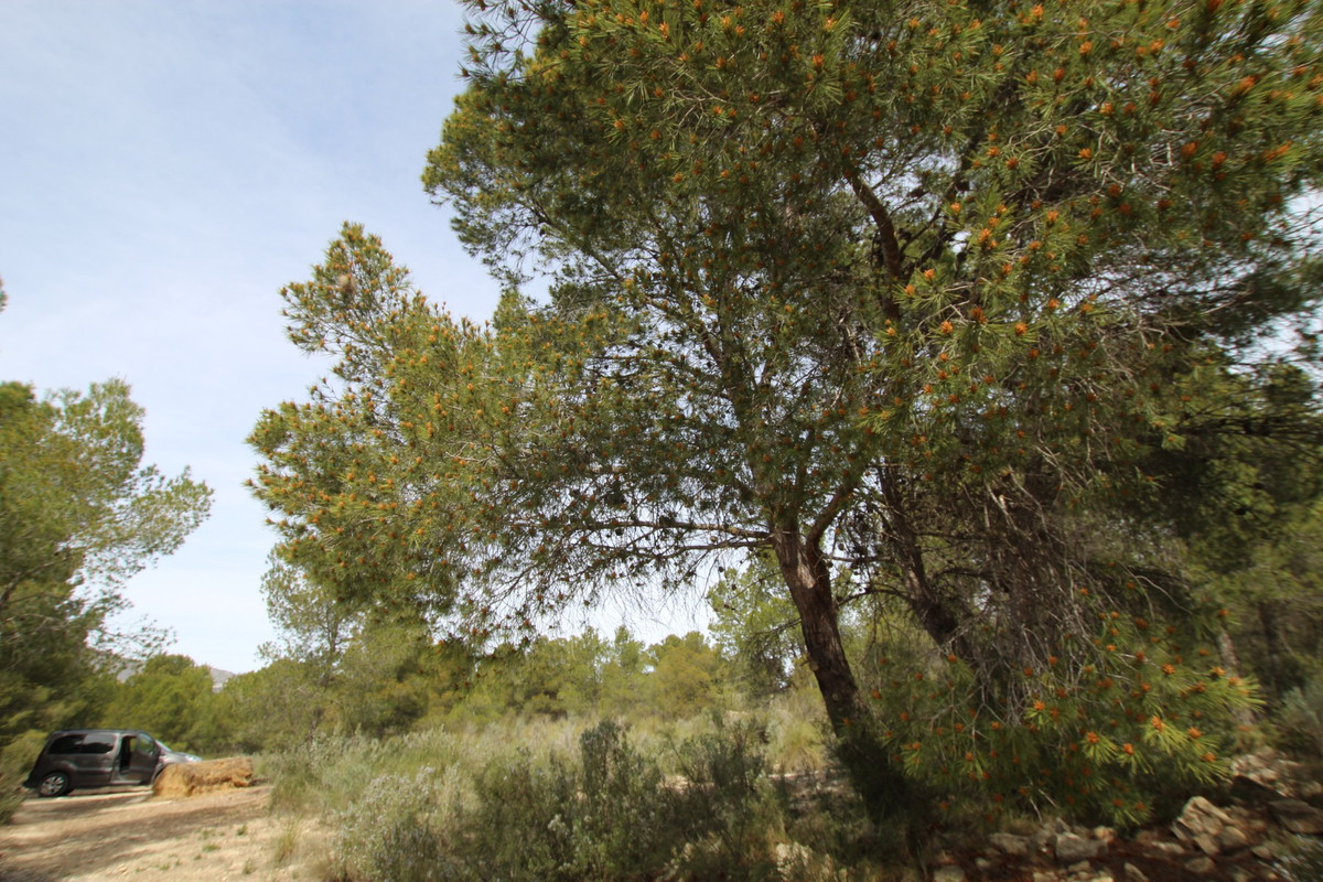 Se vende Finca - Cortijo de 1 dormitorios en Costa Blanca, Alicante, España