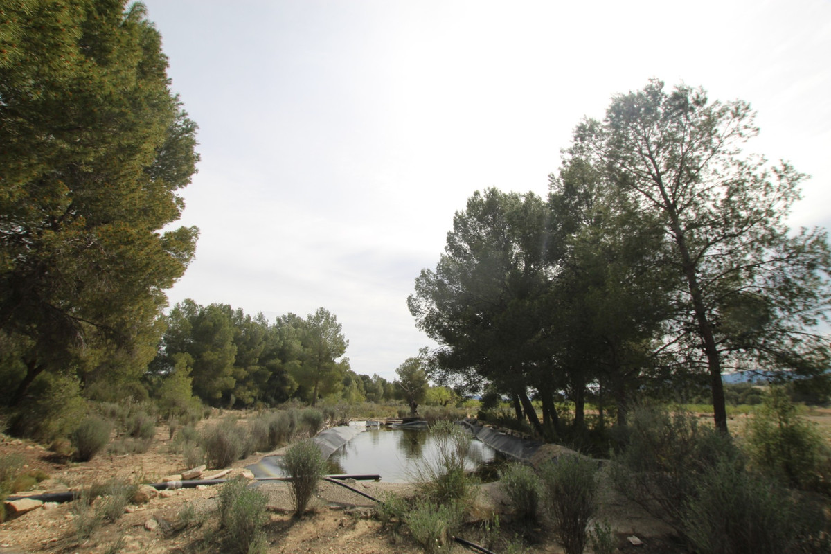 Se vende Finca - Cortijo de 1 dormitorios en Costa Blanca, Alicante, España