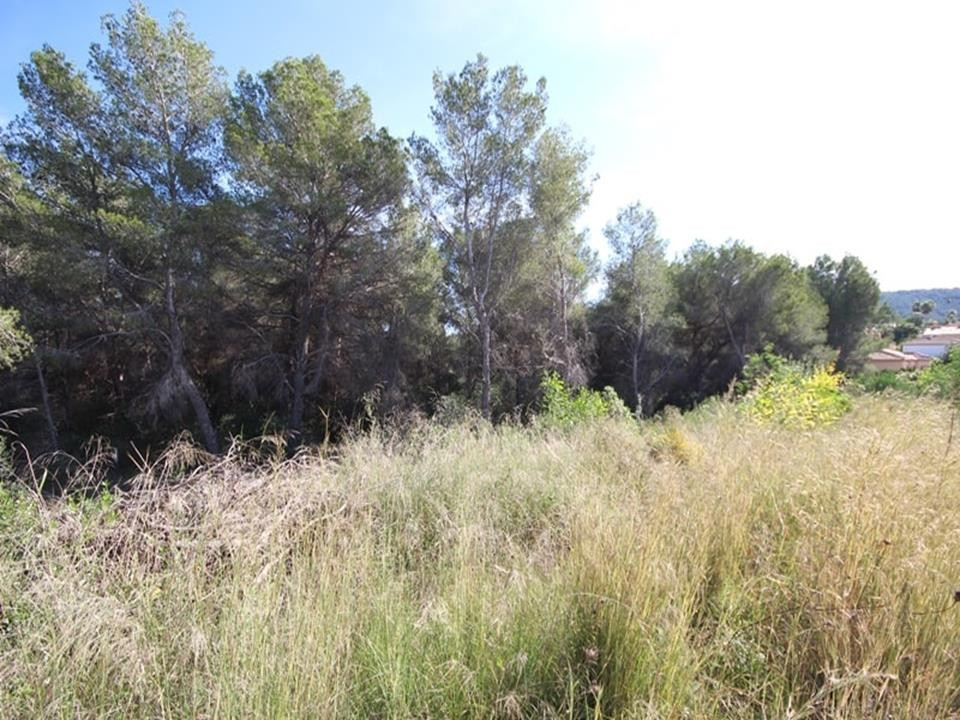 Plots for sale in Pinosol Costa Blanca, Alicante, Spain