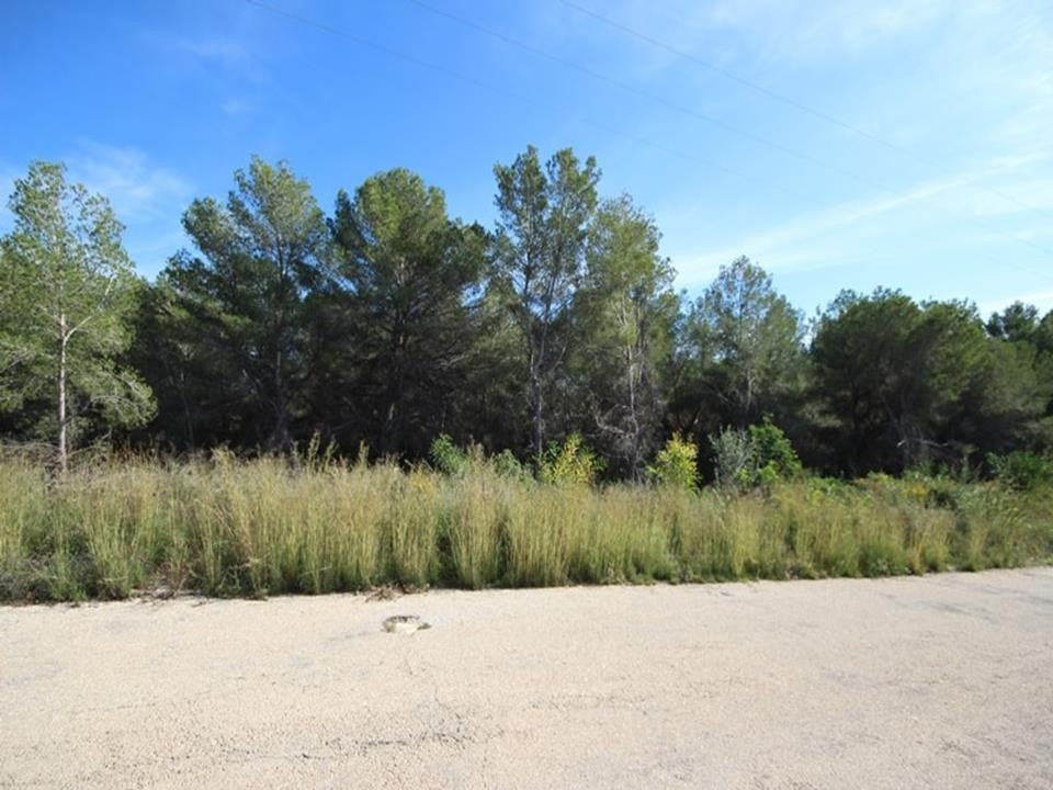 Plots for sale in Pinosol Costa Blanca, Alicante, Spain