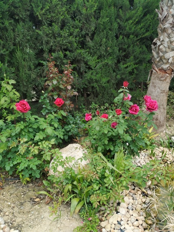 Se vende Finca - Cortijo de 5 dormitorios en Costa Blanca, Alicante, España
