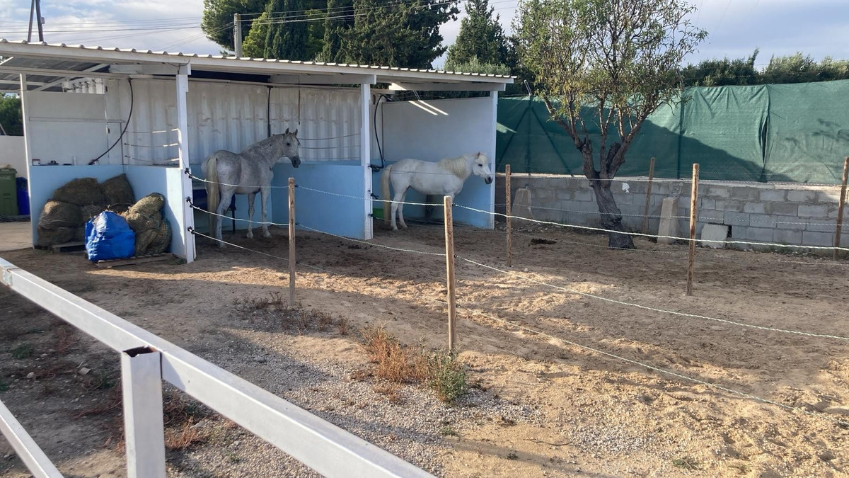 Se vende Finca - Cortijo de 5 dormitorios en Costa Blanca, Alicante, España