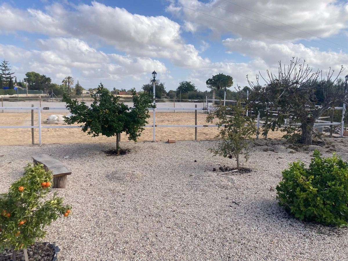 Se vende Finca - Cortijo de 5 dormitorios en Costa Blanca, Alicante, España
