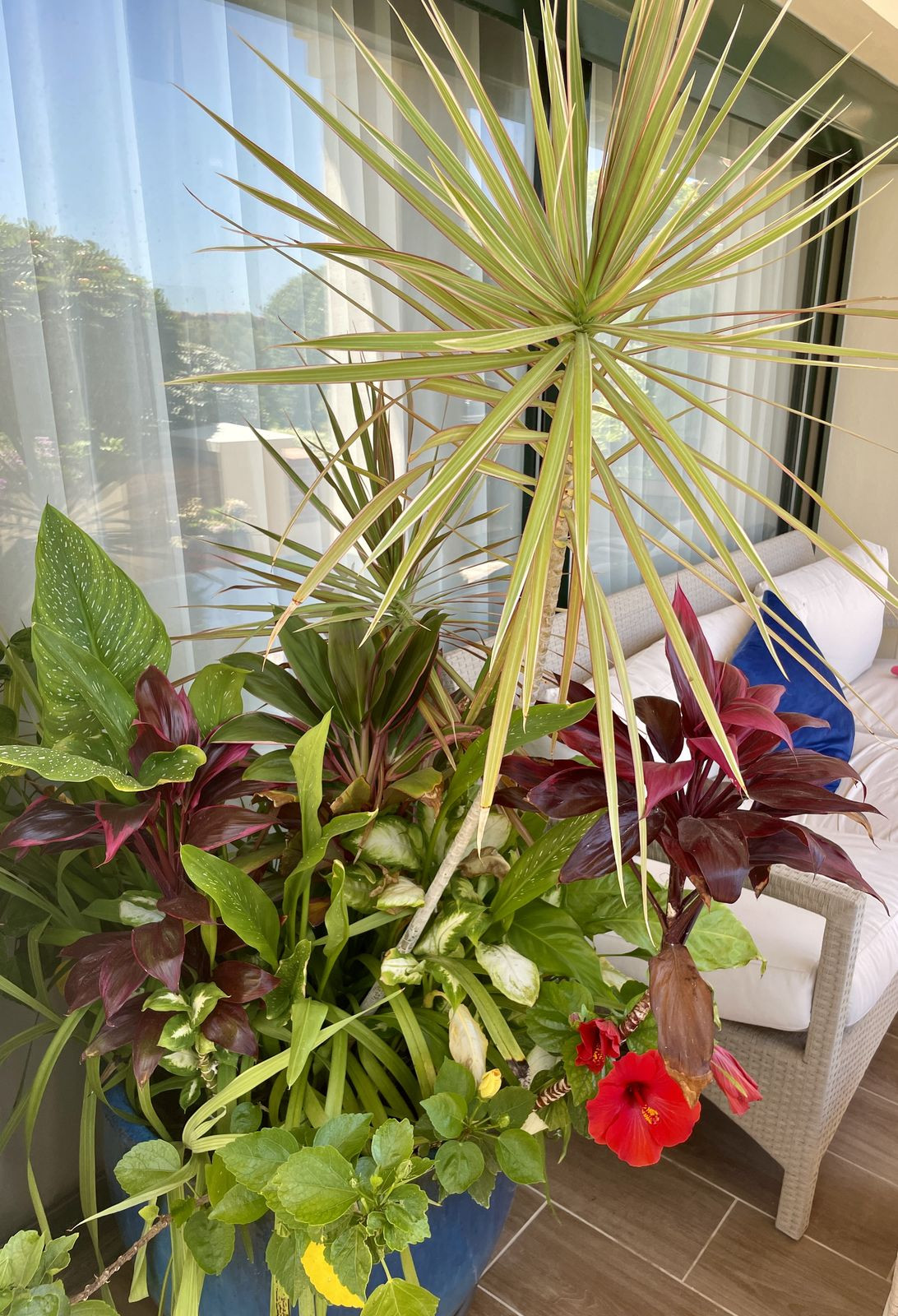 Se vende Apartamento Planta Baja de 5 dormitorios en Costa Del Sol, Málaga, España