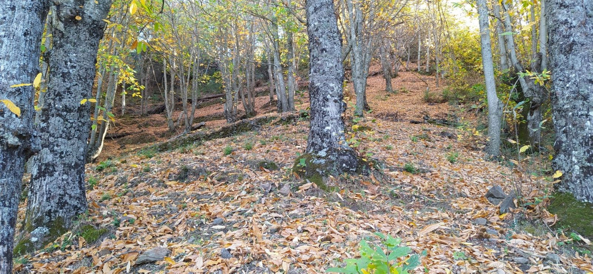 Se vende Finca - Cortijo de 2 dormitorios en Costa Del Sol, Málaga, España