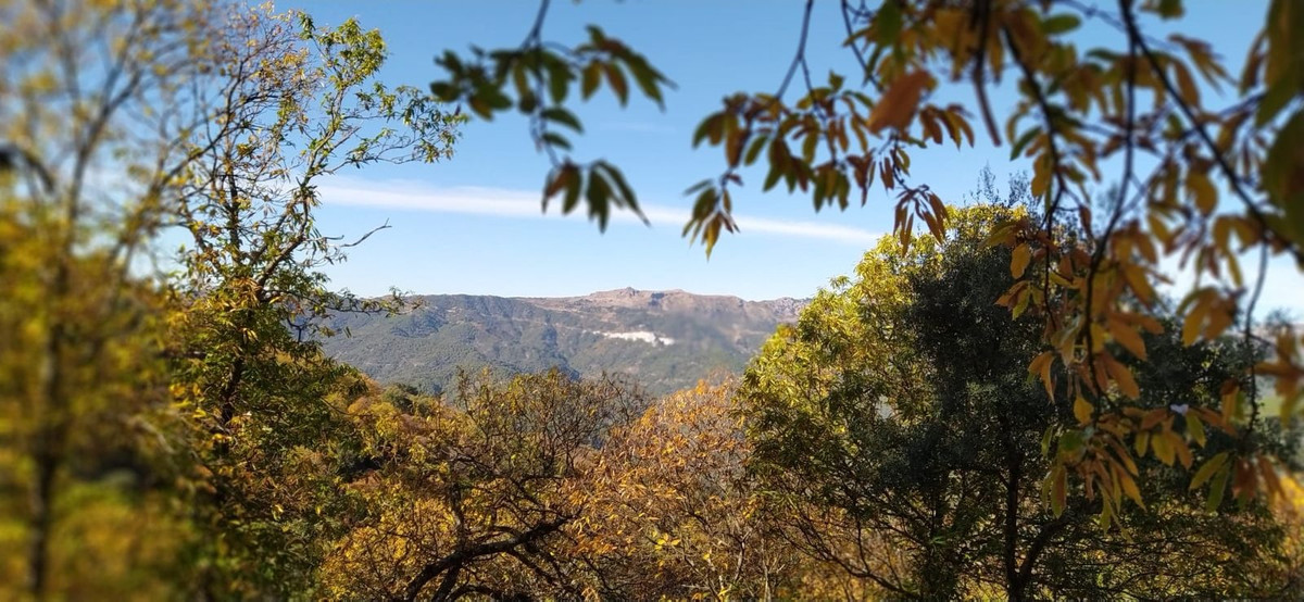 Se vende Finca - Cortijo de 2 dormitorios en Costa Del Sol, Málaga, España
