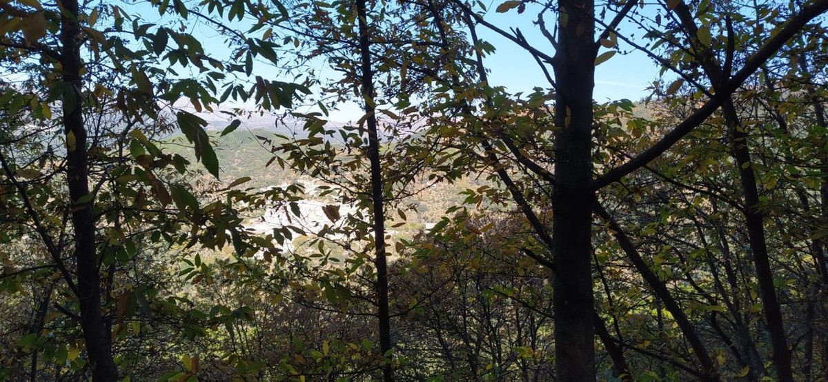 Se vende Finca - Cortijo de 2 dormitorios en Costa Del Sol, Málaga, España