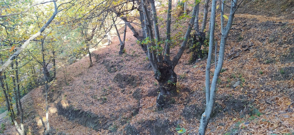 Se vende Finca - Cortijo de 2 dormitorios en Costa Del Sol, Málaga, España