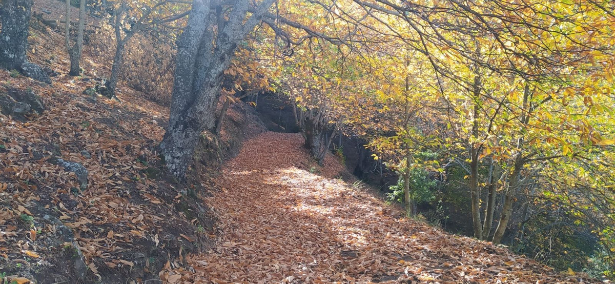 Se vende Finca - Cortijo de 2 dormitorios en Costa Del Sol, Málaga, España