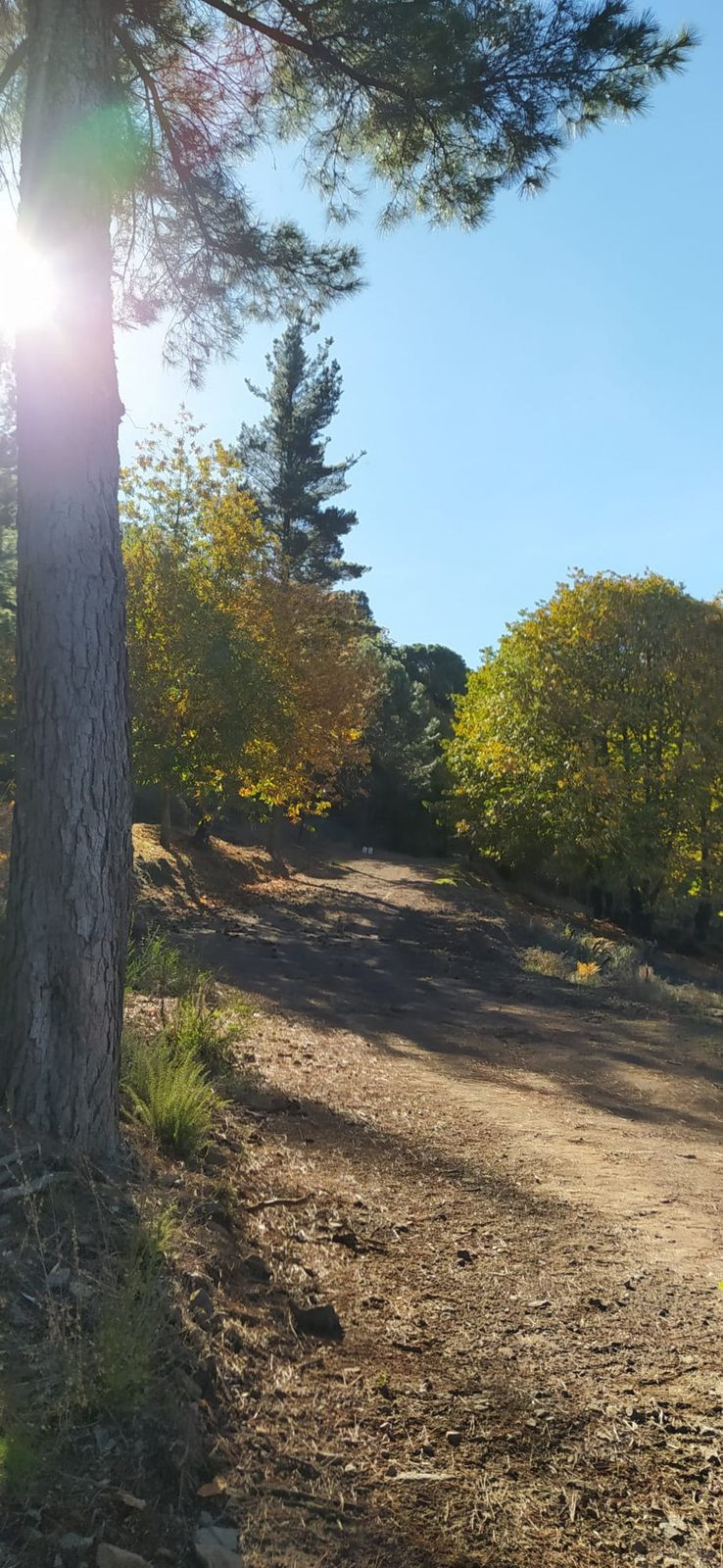 Se vende Finca - Cortijo de 2 dormitorios en Costa Del Sol, Málaga, España