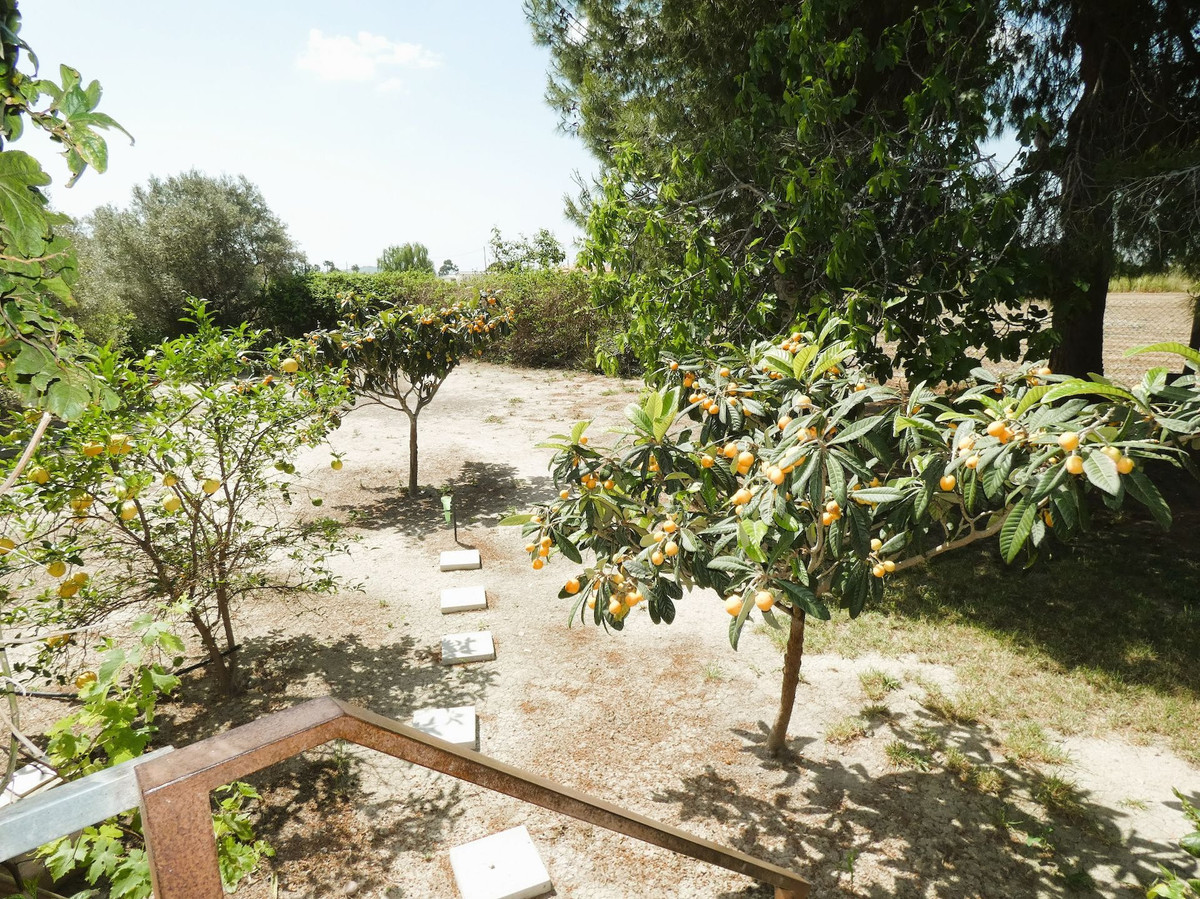 Se vende Finca - Cortijo de 3 dormitorios en Costa Blanca, Alicante, España