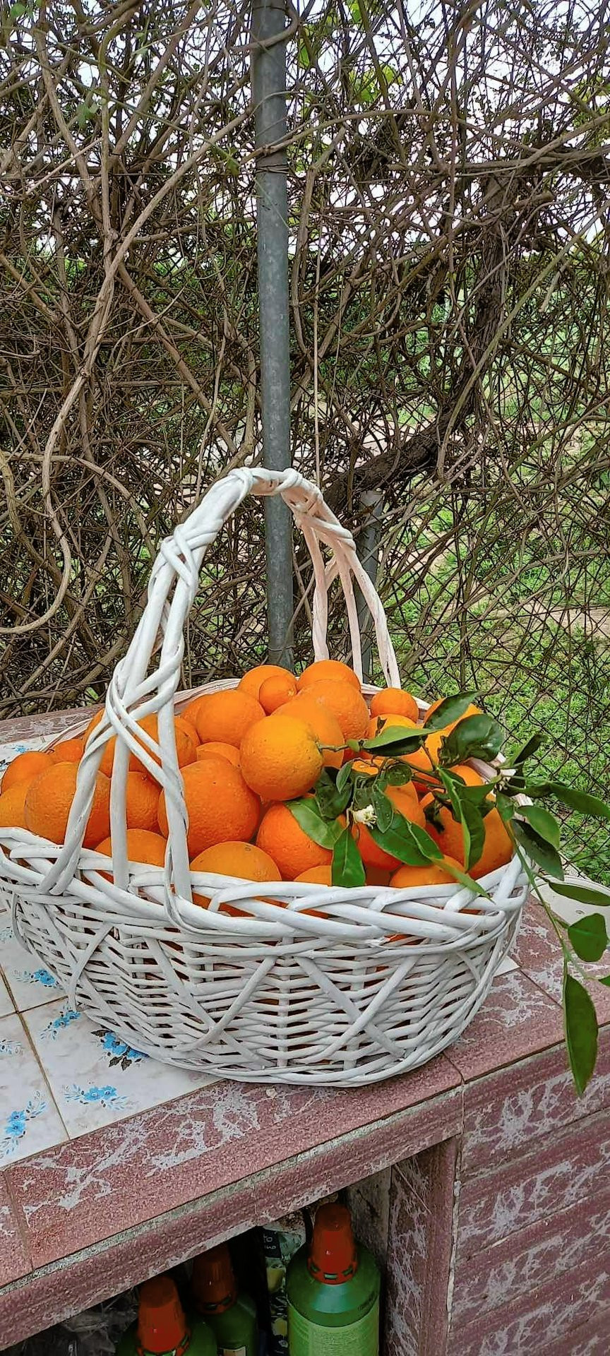 Se vende Finca - Cortijo de 3 dormitorios en Costa Blanca, Alicante, España