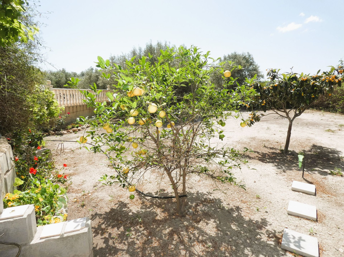Se vende Finca - Cortijo de 3 dormitorios en Costa Blanca, Alicante, España