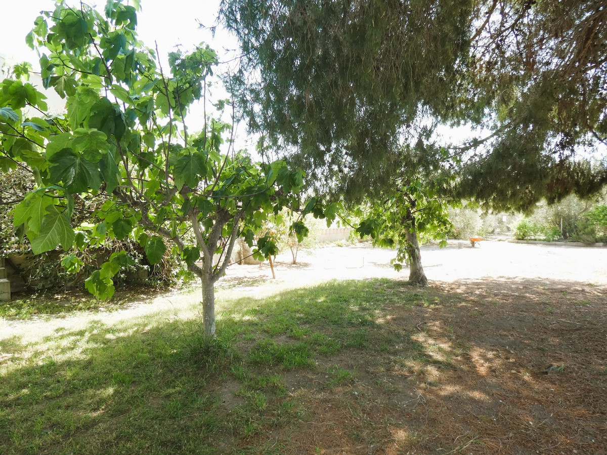Se vende Finca - Cortijo de 3 dormitorios en Costa Blanca, Alicante, España