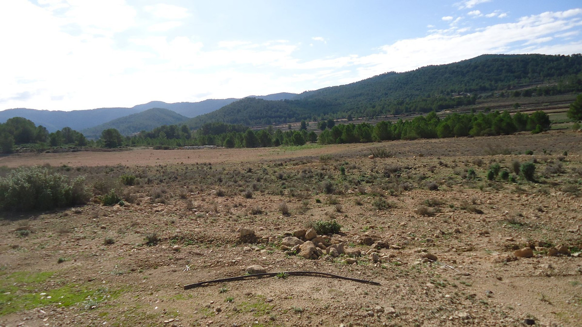 Se vende Terreno Rustico  en Costa Blanca, Alicante, España