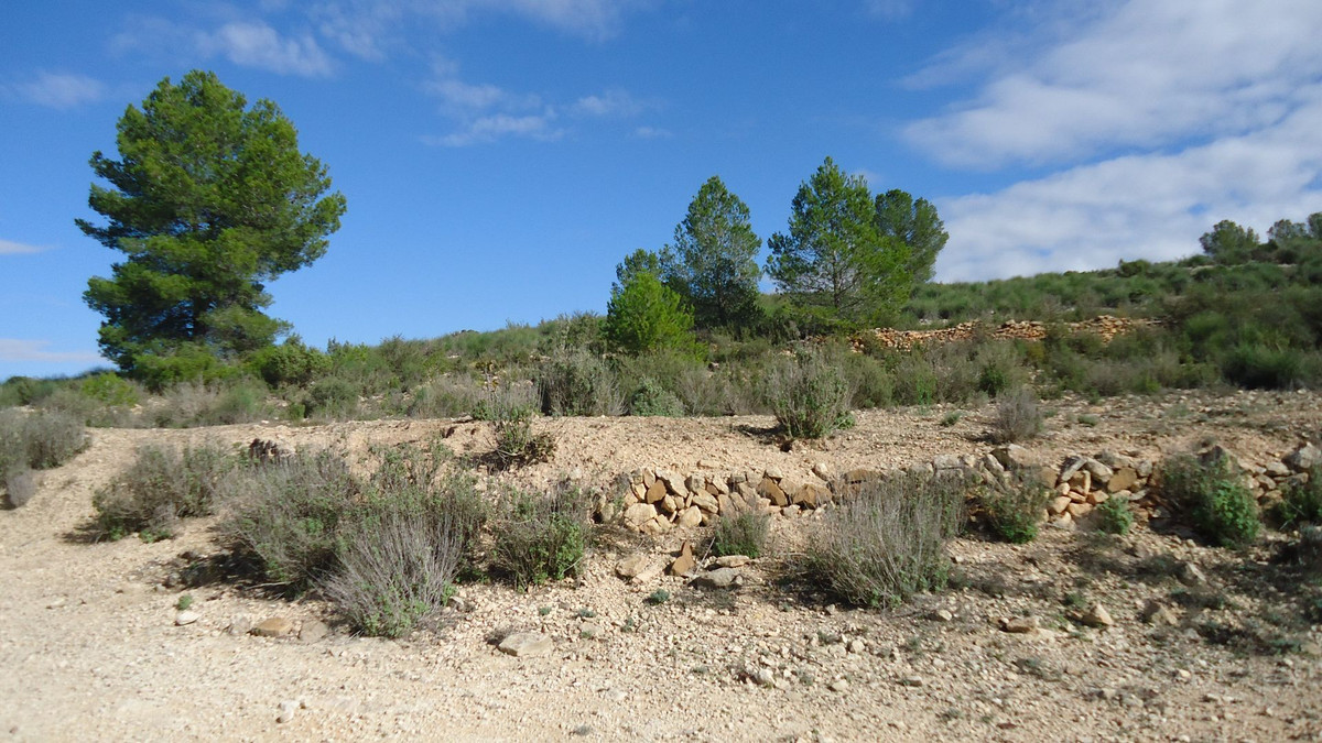 Se vende Terreno Rustico  en Costa Blanca, Alicante, España