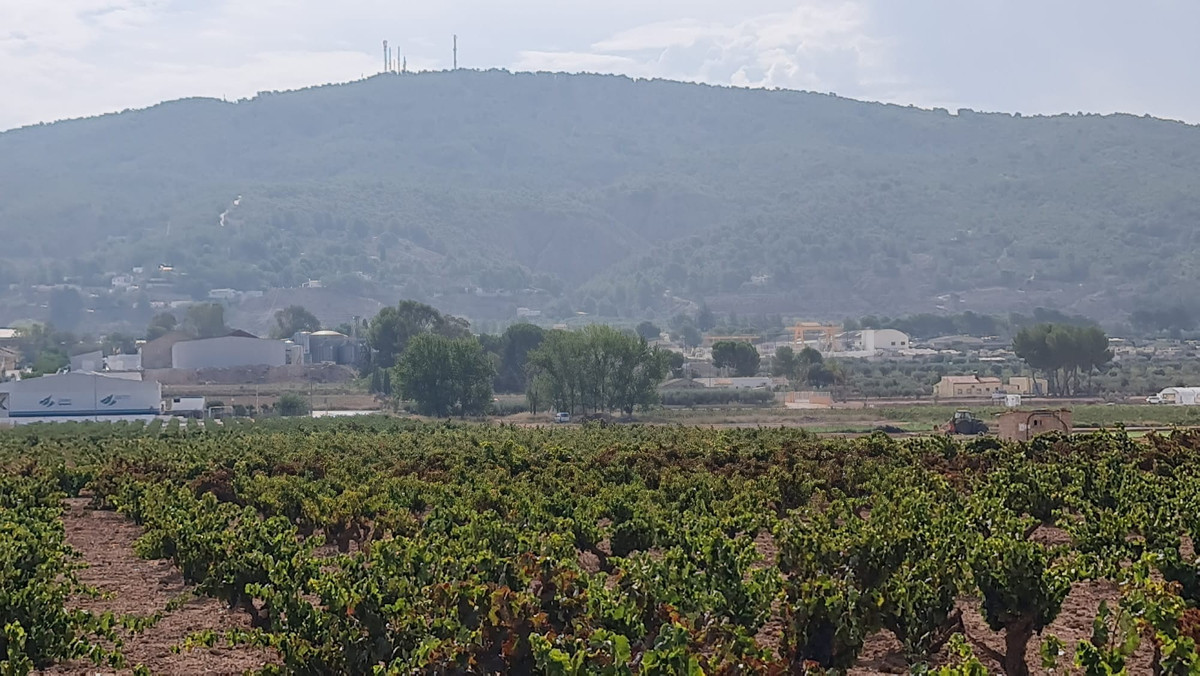 Se vende Terreno Rustico  en Costa Blanca, Alicante, España