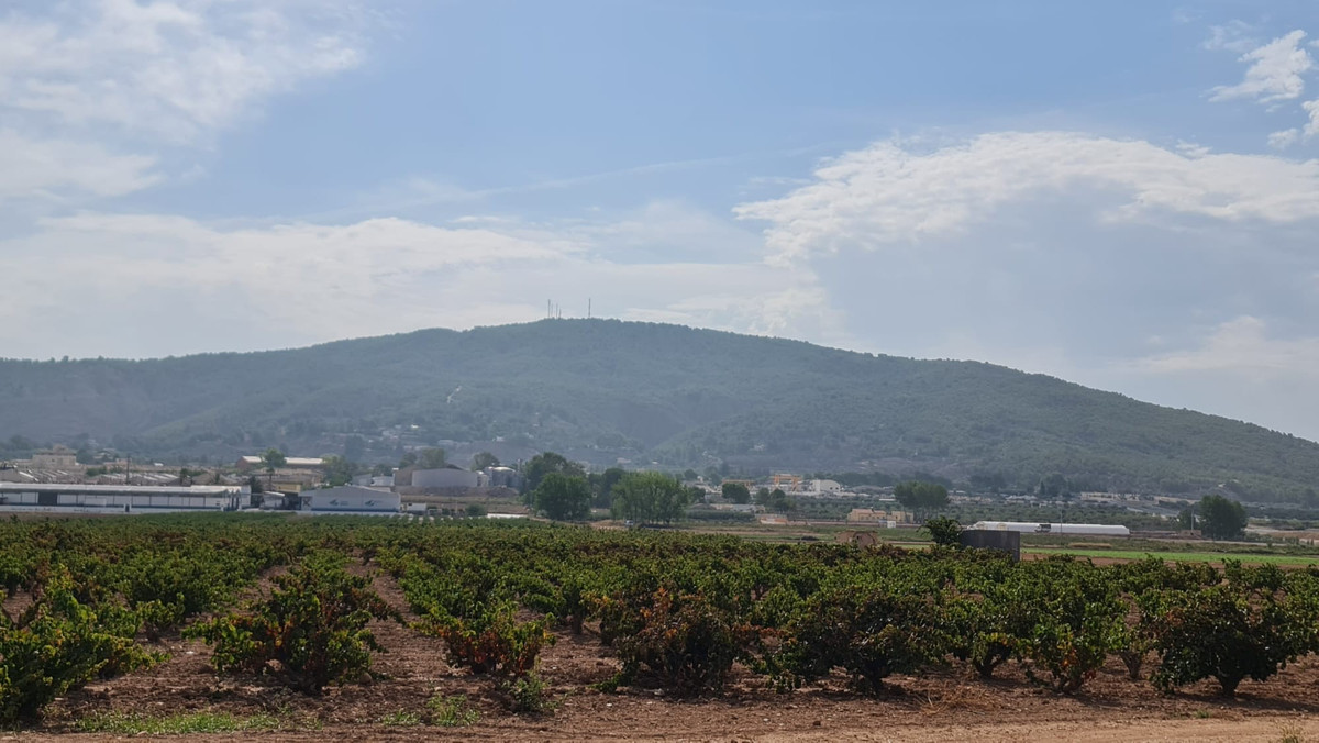 Se vende Terreno Rustico  en Costa Blanca, Alicante, España