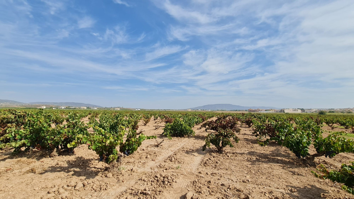 Se vende Terreno Rustico  en Costa Blanca, Alicante, España