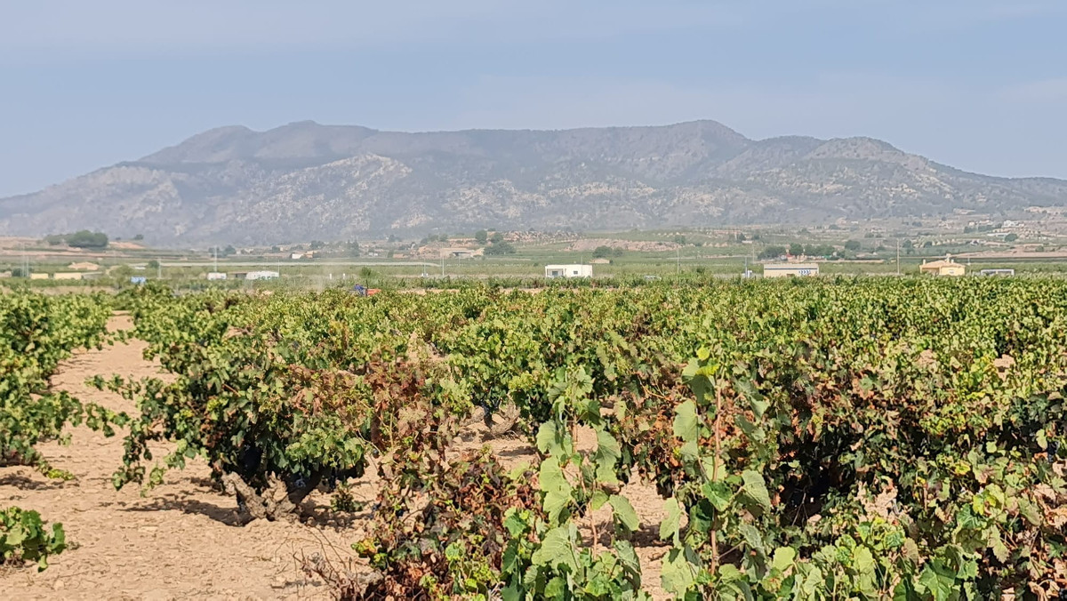 Se vende Terreno Rustico  en Costa Blanca, Alicante, España