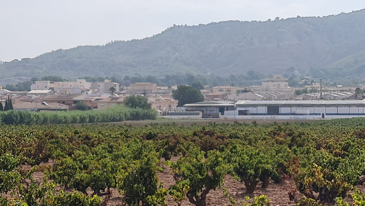 Se vende Terreno Rustico  en Costa Blanca, Alicante, España