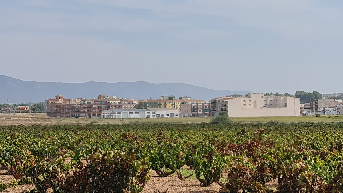 Se vende Terreno Rustico  en Costa Blanca, Alicante, España