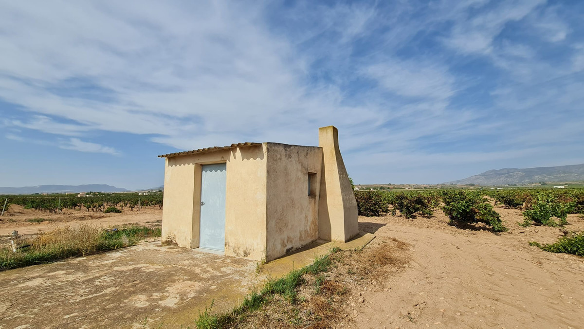 Se vende Terreno Rustico  en Costa Blanca, Alicante, España