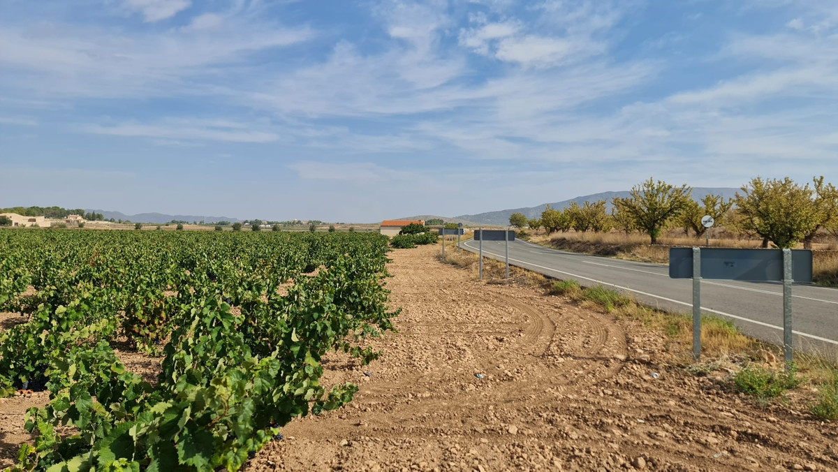 Se vende Terreno Rustico  en Costa Blanca, Alicante, España