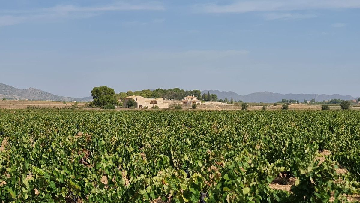 Se vende Terreno Rustico  en Costa Blanca, Alicante, España