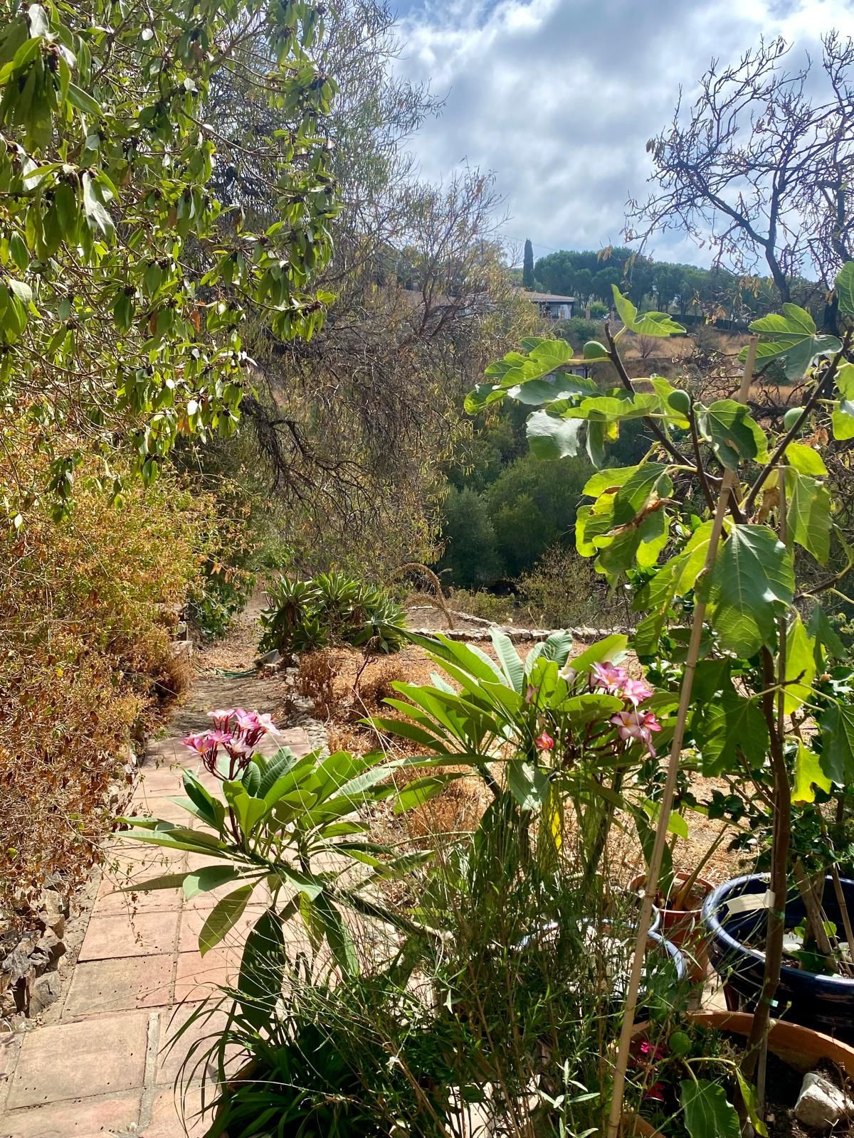 5 Bed Townhouse for sale in Mijas Costa Del Sol, Málaga, Spain