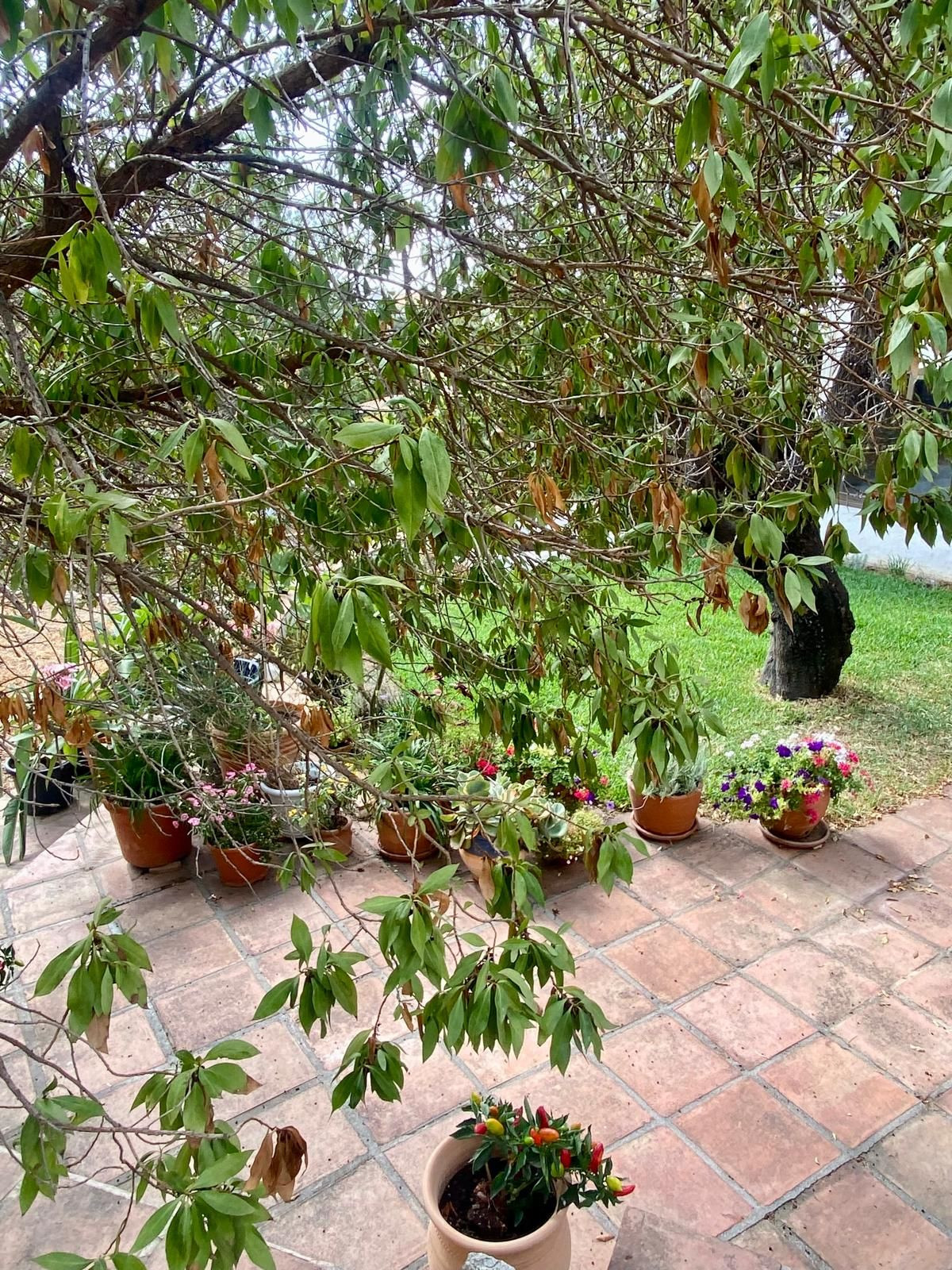 5 Bed Townhouse for sale in Mijas Costa Del Sol, Málaga, Spain
