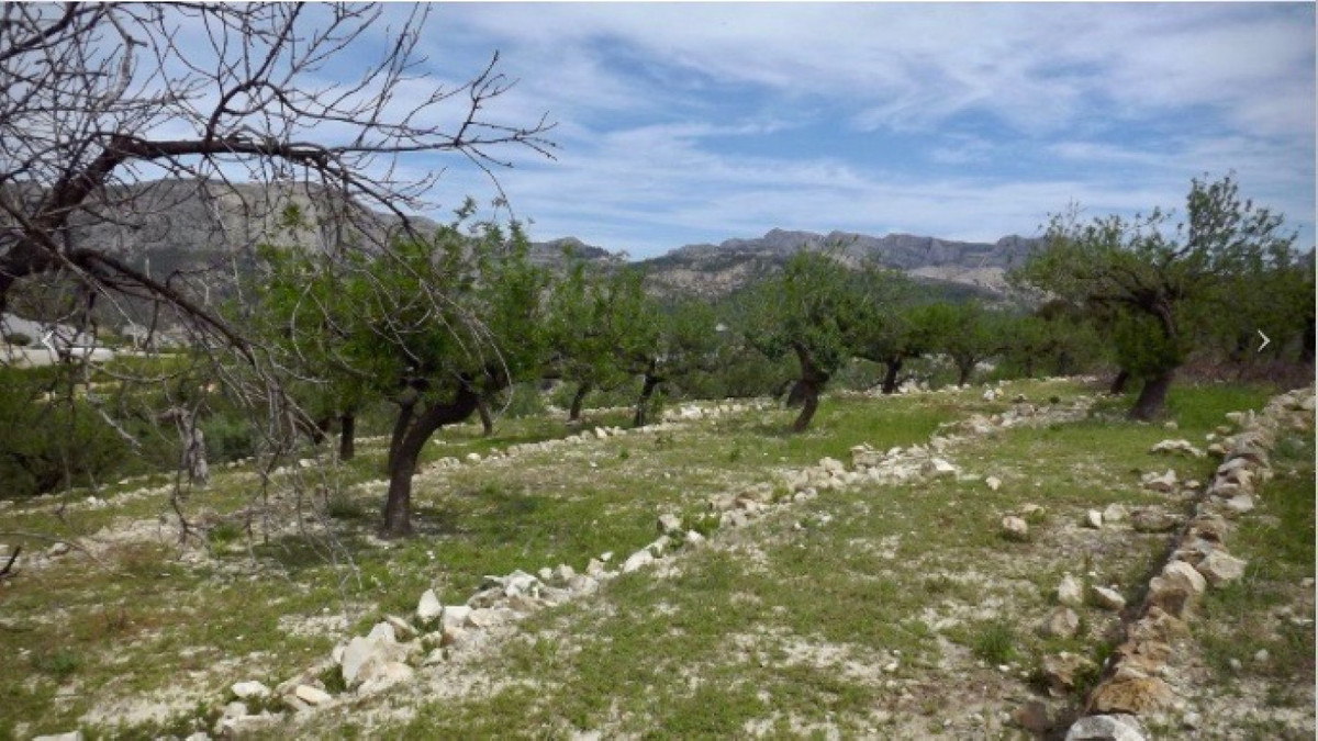 Se vende Terreno Rustico  en Costa Blanca, Alicante, España