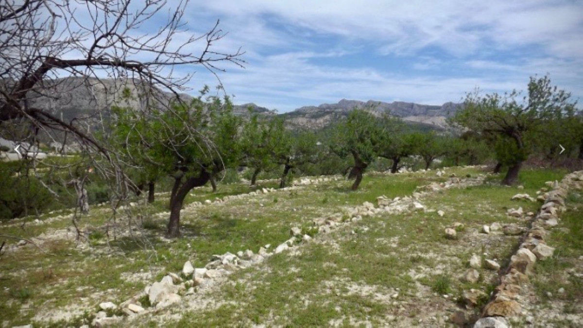 Se vende Terreno Rustico  en Costa Blanca, Alicante, España