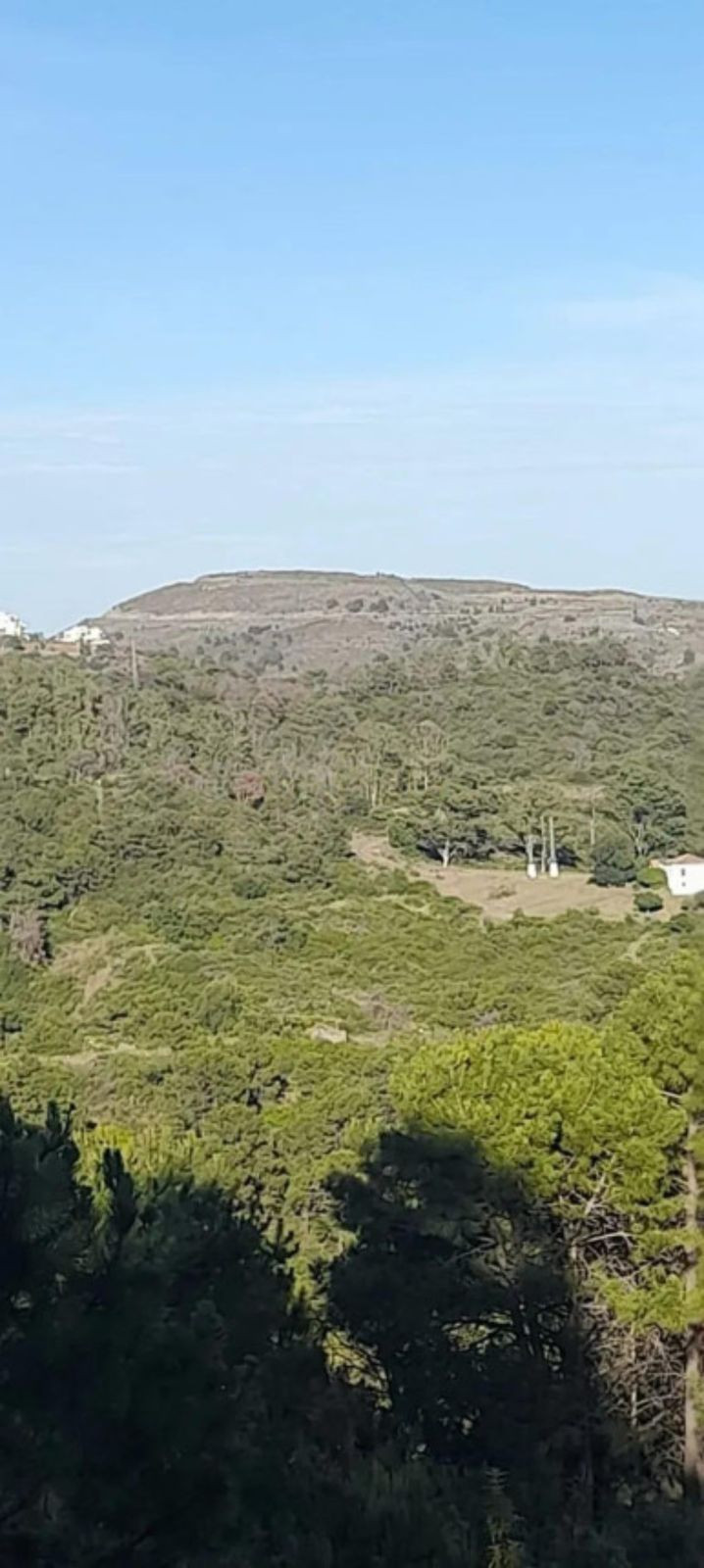 Se vende Terreno Rustico  en Costa Del Sol, Málaga, España