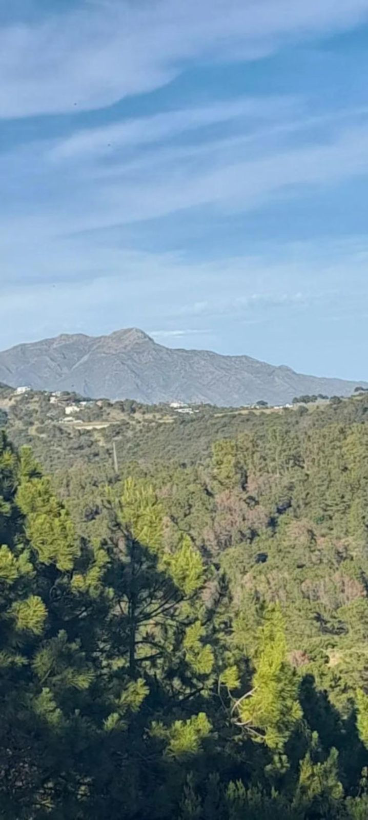 Se vende Terreno Rustico  en Costa Del Sol, Málaga, España