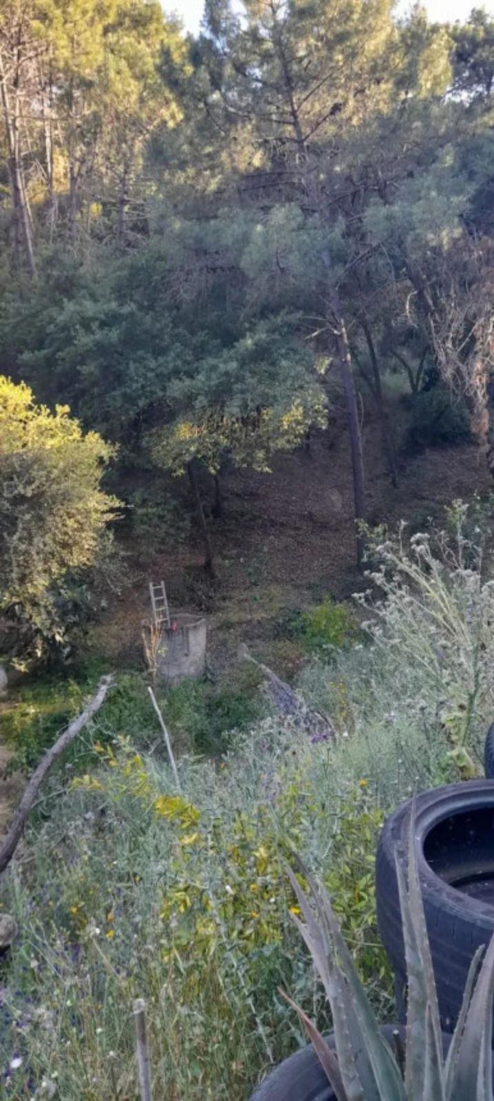 Se vende Terreno Rustico  en Costa Del Sol, Málaga, España
