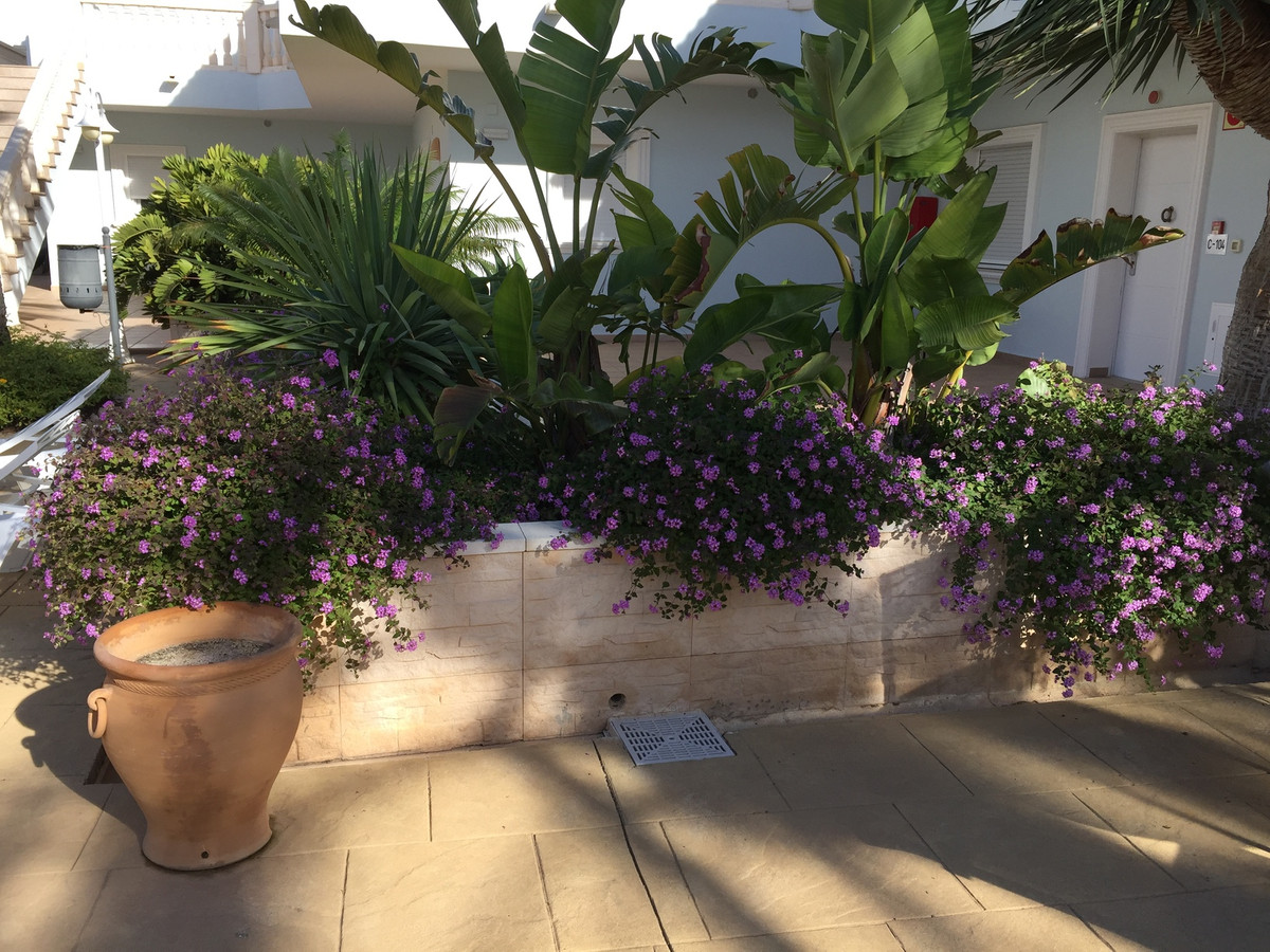 Se vende Apartamento Planta Baja de 2 dormitorios en Costa Blanca, Alicante, España