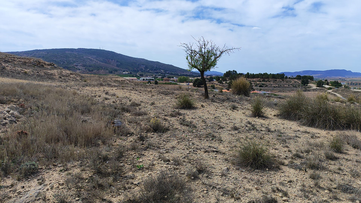 Plots for sale in Pinoso Costa Blanca, Alicante, Spain