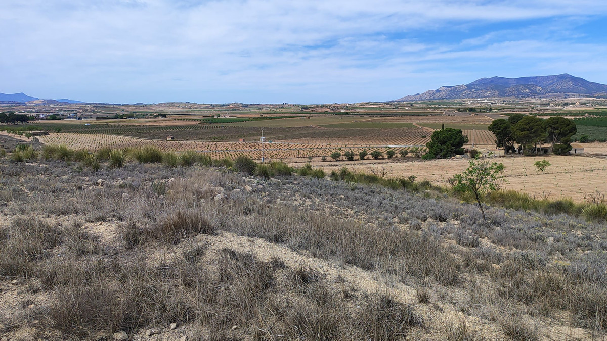Plots for sale in Pinoso Costa Blanca, Alicante, Spain