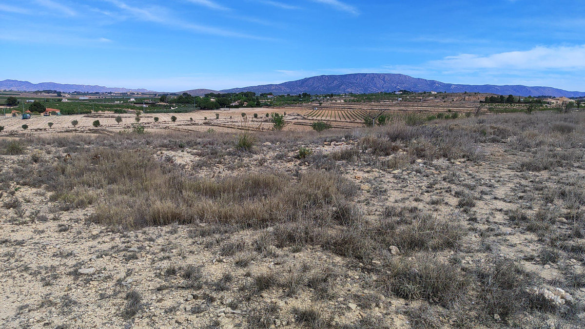 Plots for sale in Pinoso Costa Blanca, Alicante, Spain