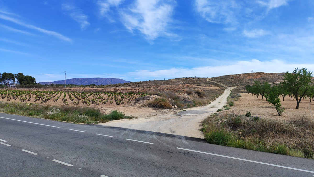 Plots for sale in Pinoso Costa Blanca, Alicante, Spain
