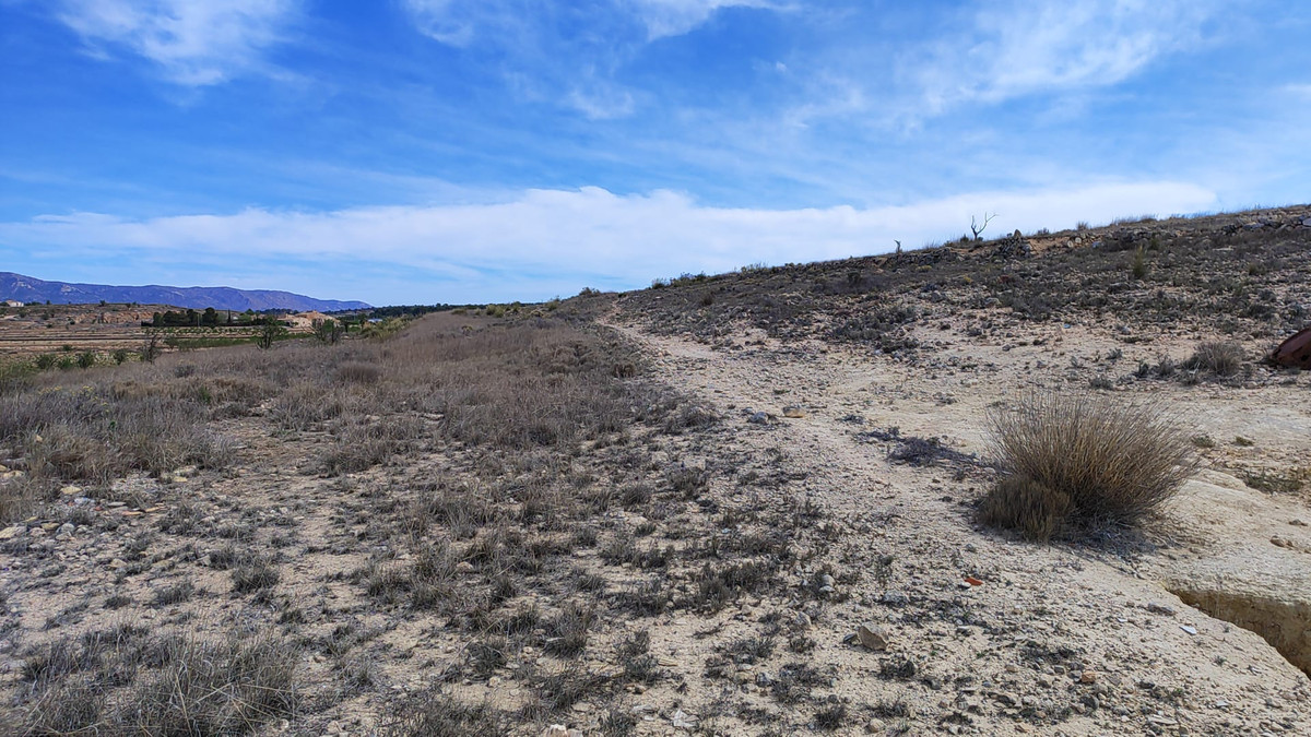 Plots for sale in Pinoso Costa Blanca, Alicante, Spain