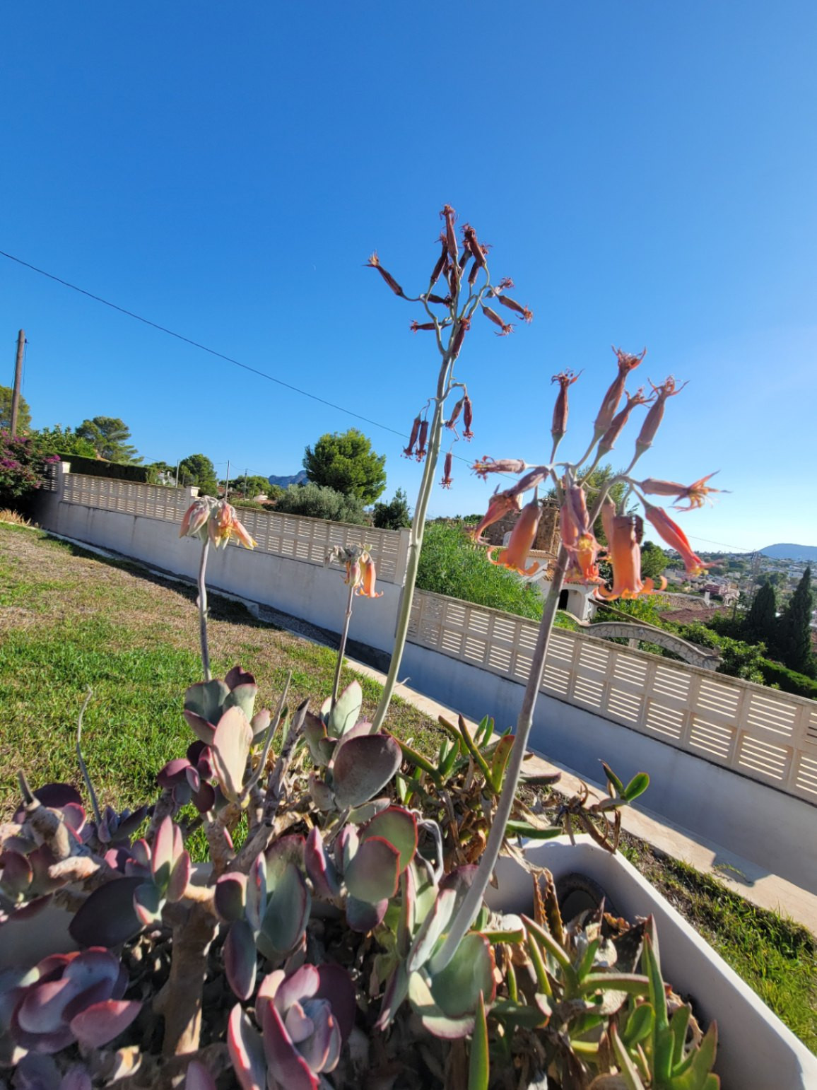 3 Bed Townhouse for sale in Calpe Costa Blanca, Alicante, Spain
