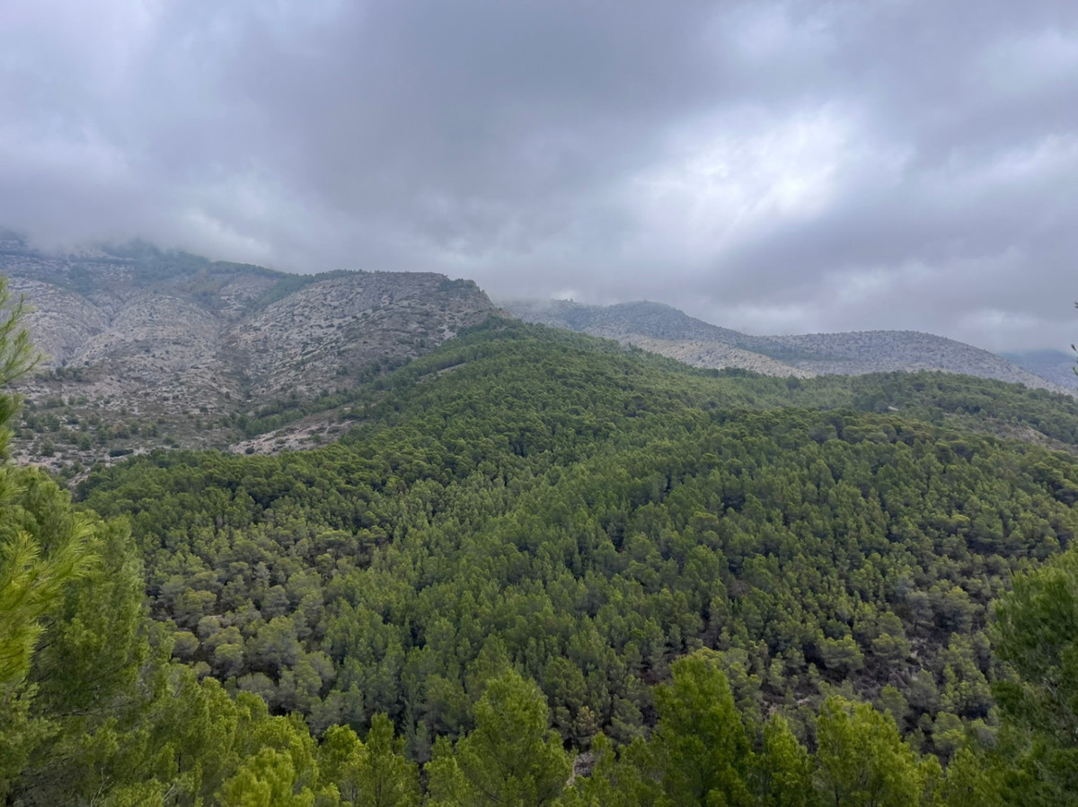 Plots for sale in Callosa Den Sarria Costa Blanca, Alicante, Spain